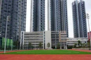 洛奇英雄传兔子怎么喂 兔子的饲料是随便喂吗|开云官网(图1) 开云官网